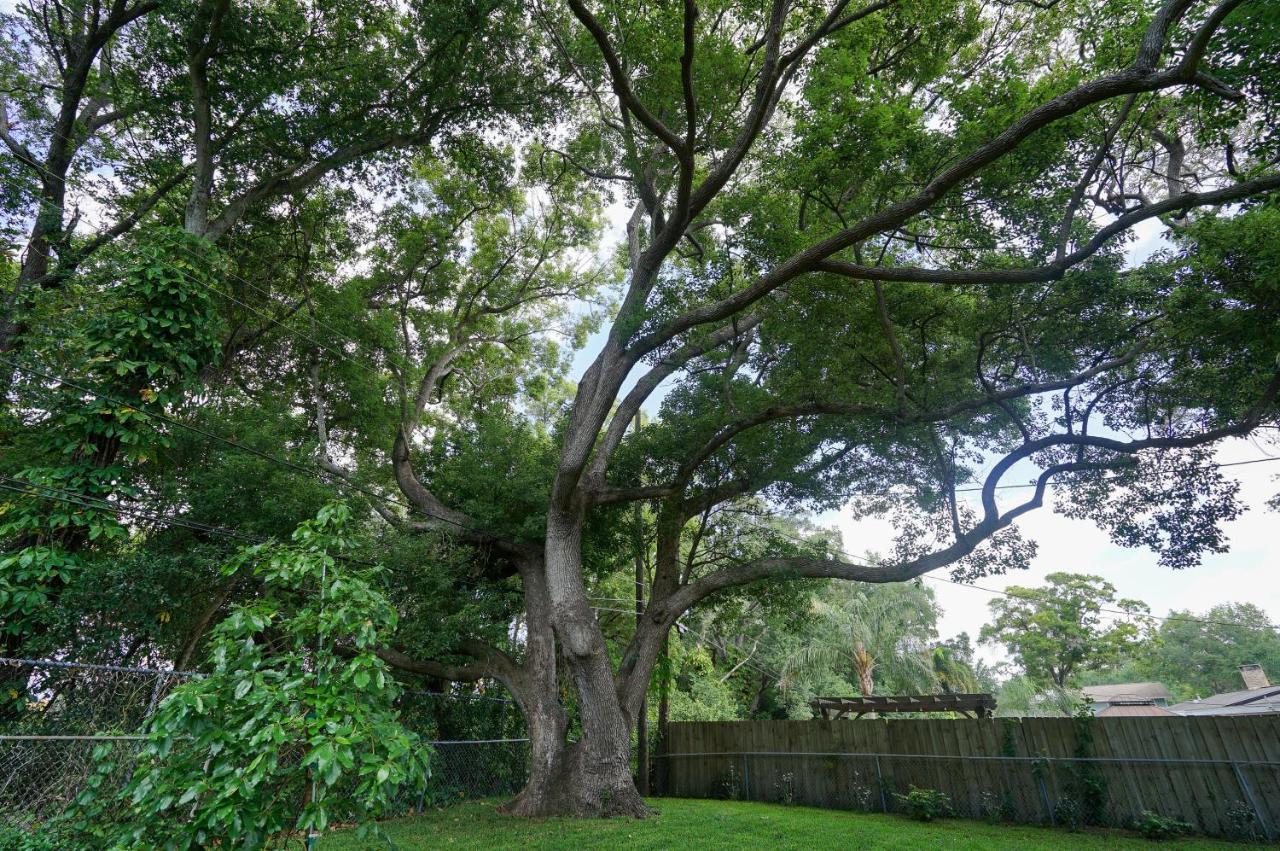 4 Bedroom Clearwater Vacation Home With Amazing Backyard Extérieur photo